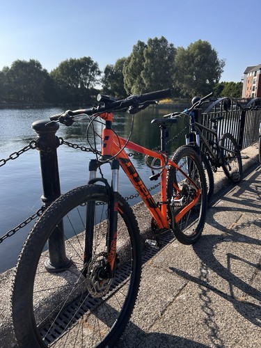 Cube 29in hardtail - hardtail, mountain