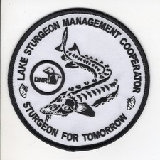 MICHIGAN LAKE STURGEON