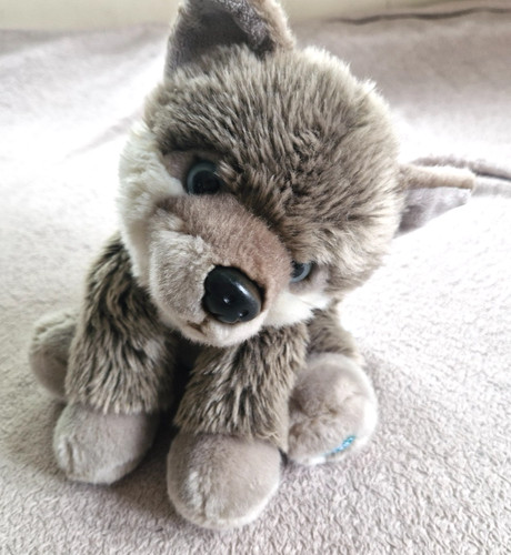 Posh paws husky - posh, teddy