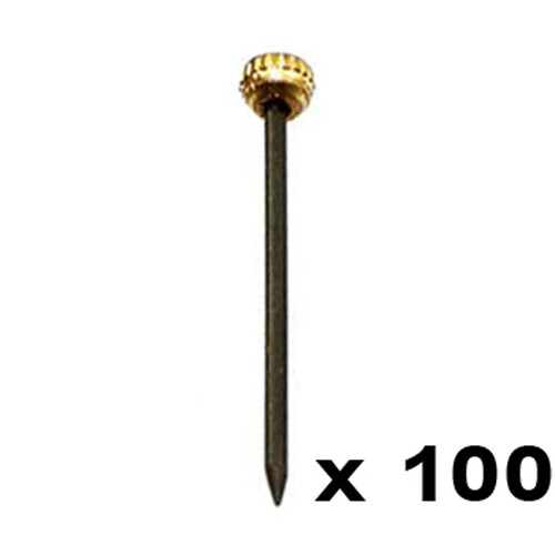 Brass head picture pins nail - picture,
