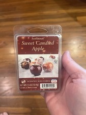 Scentsational Wax Sweet