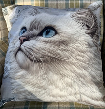 Luxurious Cushion Cover Velvet