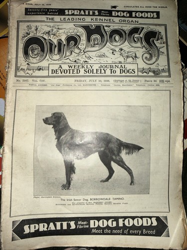 Our dogs magazine july 1936 - our, 10