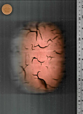 UK NORTH SEA Fisherman`s float 325g Nautical art garden Dunbar Harbour Scotland