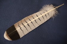 Native American-made the