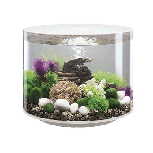 Biorb tube aquarium mcr - 35, led