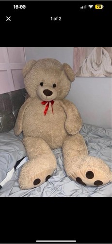 Large teddy bear - teddy, bear.