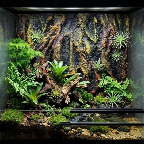 Rock aquarium background - aquarium,