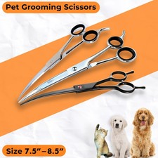 Professional Pet Dog & Cat
