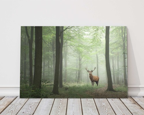 Stag the forest set in - in, a