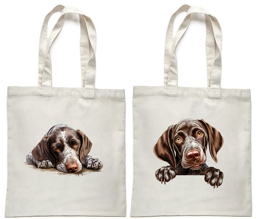 German shorthaired pointer - german,