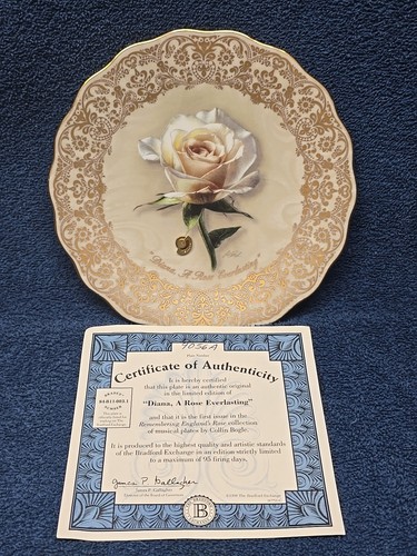 Princess diana rose - princess, diana,