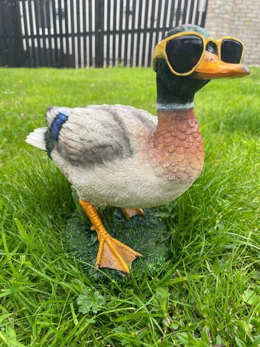 Cool ducks shades a - ducks, in