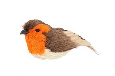 Gisela Graham Bristle Wood