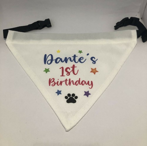 Dog birthday bandana - dog,