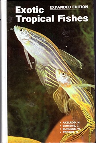 Exotic tropical fishes etc - exotic, fishes,