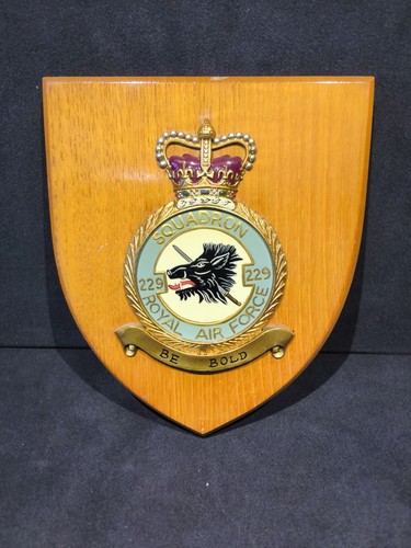 Vintage raf 229 squadron - raf,