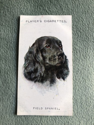 John player cigarette - (a15),