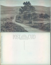 Exford Road in Exmoor EA Sweetman Son Landscapes Roads Real Photo RPPC