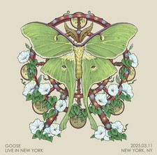 Goose Vinyl Live In New York