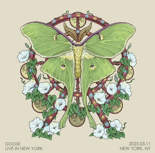 Goose vinyl live new york - vinyl,