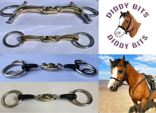 Diddy bits pony wilkie gag - diddy,