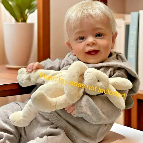 Inch reborn baby - reborn,