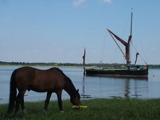 Photo 12x8 Barge and horse