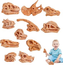 11pcs Mini Dinosaur Bones