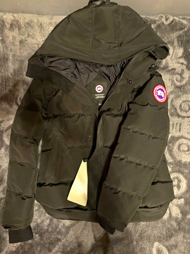 Canada goose arctic program - goose,