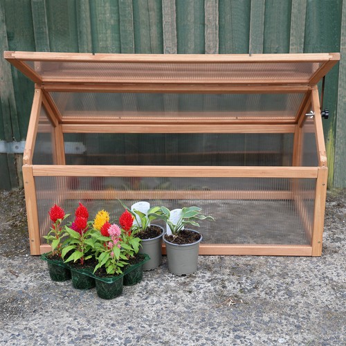 Wooden cold frame - wooden,