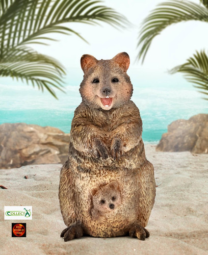 Quokka with joey - with, marsupial