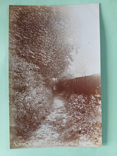 Post card love - lane,, yoxford