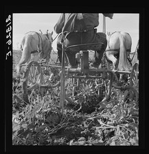 Photo:Ontario Oregon 1939