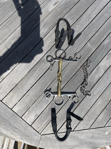 Neue schule trans angled - schule,