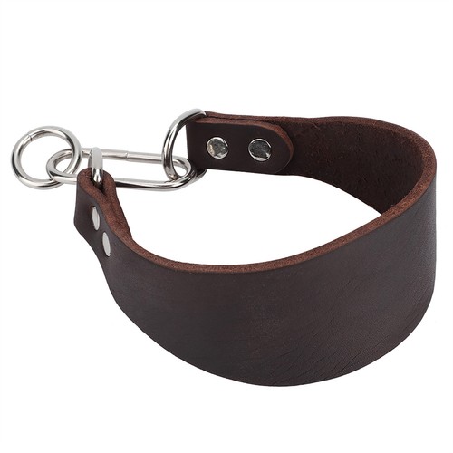 Widen pet collar - widen, small