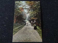 The Avenue Melsetter Orkney Postcard by Rae of Stromness - 110917