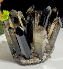 Smoky Quartz Crystal Cluster Beautiful Large 300g With All Extrusions Intact 8cm