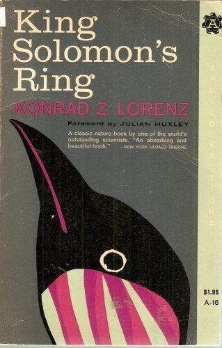 King solomon ring - king, solomon's