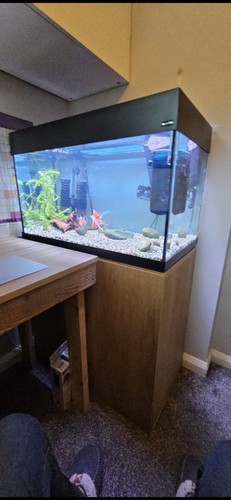Aqua one aquavogue 135l - one,