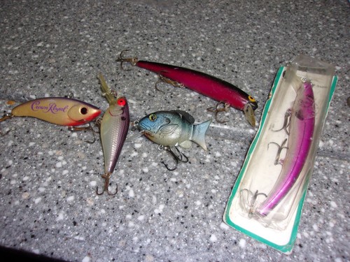 0256 bass fishing - bass, lot