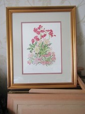 Framed Print Jenny Jowett