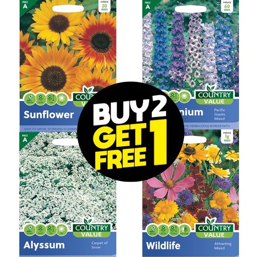Flower seeds zinnia foxglove - zinnia,