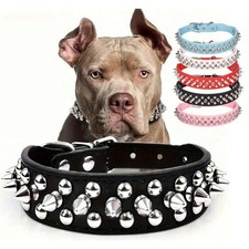 Spiked Studded Leather Dog