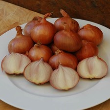 Golden Gourmet Shallot Sets - 500g Pack High Quality, Certified Seed, Ready t...