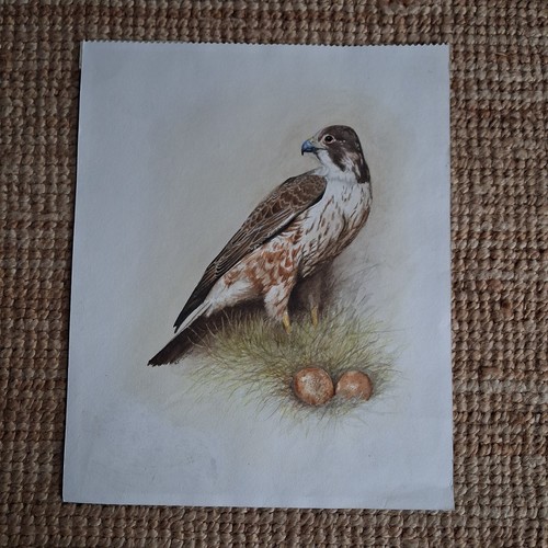 Origional drawing a - drawing, of