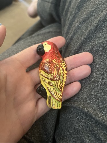 Vintage scarlet macaw fridge - vintage,
