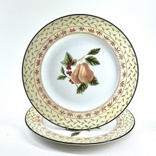 JOHNSON BROS FRUIT SAMPLER