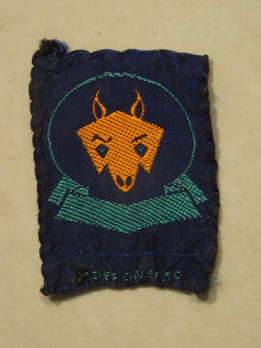 Wolf cub first promise scout - wolf,