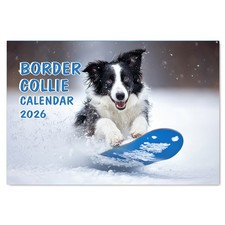 A4 2026 Border Collie Calendar – 12-Month Wall Planner for Families – 2026Family